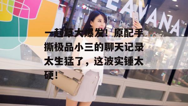 一起草大爆发!原配手撕极品小三的聊天记录太生猛了,这波实锤太硬!
